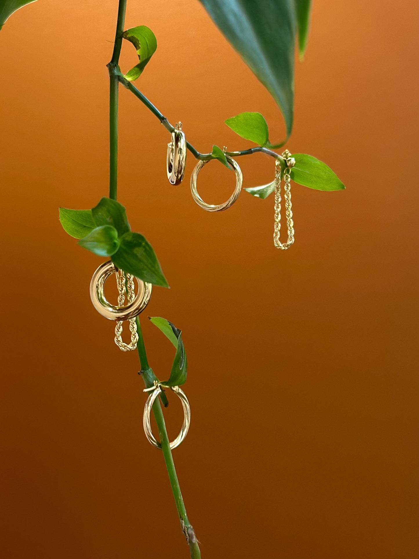 Gold Chain Hoop Earrings