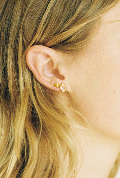 Gold Scallop Stud Earrings